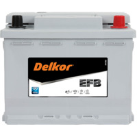 Delkor LN2-60EFB