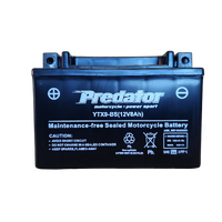Predator YTX9-BS